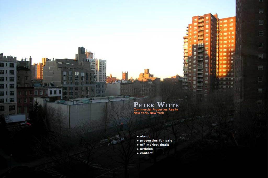 web design for a real estate consultant - home page