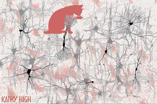 web design for a media artist and educator - Kathy High