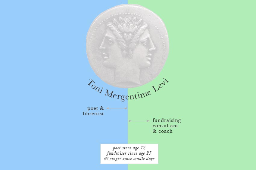 web design for a poet and fundraiser - Toni Levi Mergentime