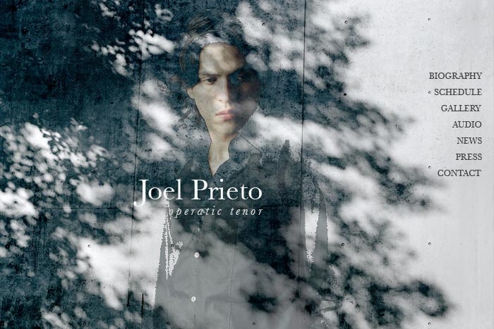 web design for an opera singer