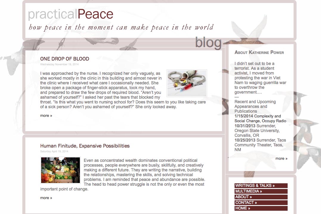 web design for an activist and blogger - Kathy Power