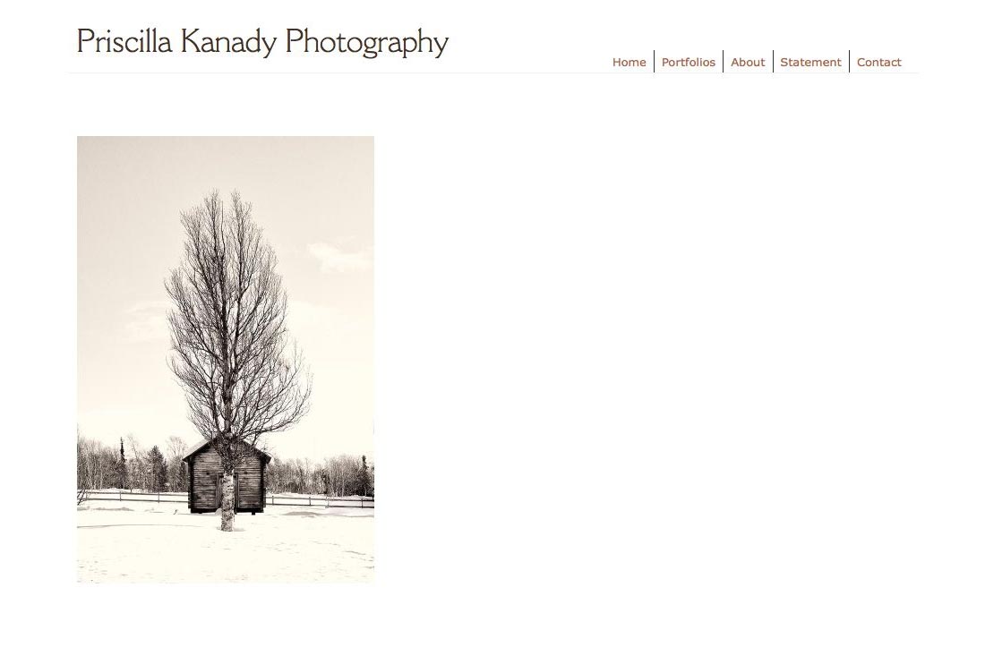 web design for a photographic artist - Priscilla Kanady