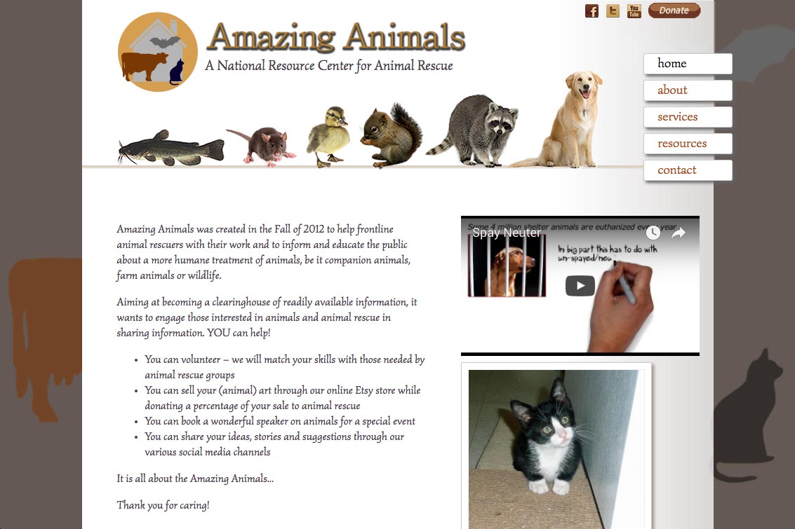 web design for a non-profit organization - Amazing Animals