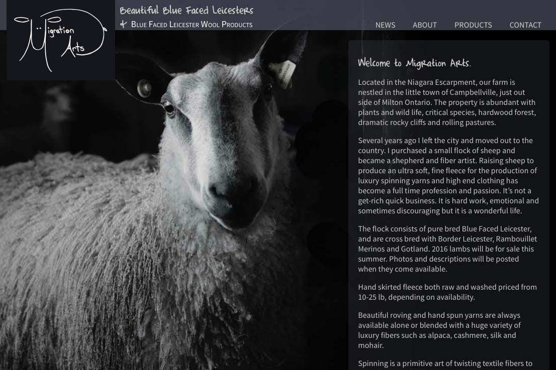 web design for a luxury wool products business in Canada - Migration Arts - home page a